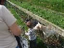 Thumbnail image of DSCF2710.JPG