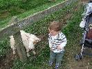 Thumbnail image of DSCF2712.JPG