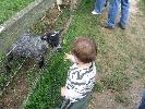 Thumbnail image of DSCF2713.JPG