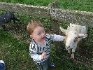 Thumbnail image of DSCF2715.JPG
