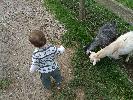 Thumbnail image of DSCF2716.JPG