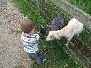 Thumbnail image of DSCF2717.JPG