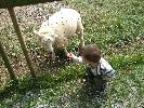 Thumbnail image of DSCF2718.JPG