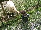 Thumbnail image of DSCF2719.JPG