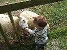 Thumbnail image of DSCF2720.JPG