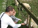 Thumbnail image of DSCF2723.JPG