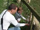 Thumbnail image of DSCF2724.JPG