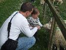 Thumbnail image of DSCF2725.JPG