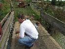 Thumbnail image of DSCF2729.JPG