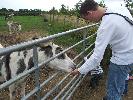 Thumbnail image of DSCF2730.JPG