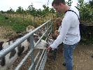 Thumbnail image of DSCF2731.JPG
