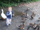 Thumbnail image of DSCF2732.JPG