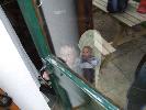 Thumbnail image of DSCF2773.JPG