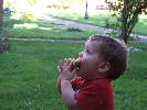 Thumbnail image of DSCF2779.JPG