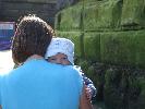 Thumbnail image of DSCF2796.JPG