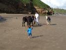 Thumbnail image of DSCF2808.JPG