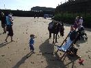 Thumbnail image of DSCF2810.JPG