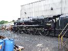 Thumbnail image of DSCF2840.JPG