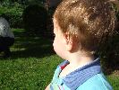 Thumbnail image of DSCF2886.JPG