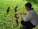 Thumbnail image of DSCF2888.JPG