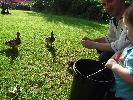 Thumbnail image of DSCF2890.JPG