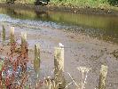 Thumbnail image of DSCF2893.JPG