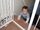 Thumbnail image of DSCF2948.JPG