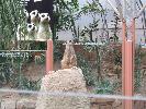 Thumbnail image of DSCF3312.JPG