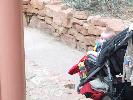 Thumbnail image of DSCF3314.JPG