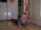 Thumbnail image of DSCF3335.JPG