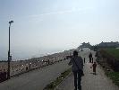 Thumbnail image of DSCF3493.JPG
