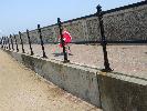 Thumbnail image of DSCF3502.JPG