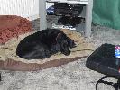 Thumbnail image of 2006_12240004.JPG