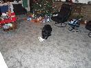 Thumbnail image of 2006_12240013.JPG