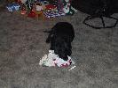 Thumbnail image of 2006_12240016.JPG