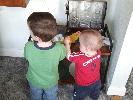 Thumbnail image of DSCF3528.JPG