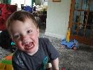 Thumbnail image of DSCF3544.JPG
