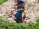 Thumbnail image of DSCF3599.JPG