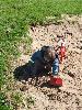 Thumbnail image of DSCF3602.JPG