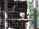 Thumbnail image of DSCF3613.JPG