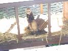 Thumbnail image of DSCF3614.JPG