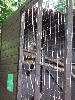 Thumbnail image of DSCF3615.JPG
