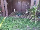 Thumbnail image of DSCF3621.JPG