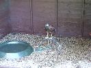 Thumbnail image of DSCF3627.JPG