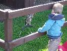 Thumbnail image of DSCF3630.JPG