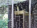Thumbnail image of DSCF3633.JPG