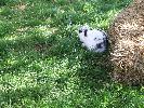 Thumbnail image of DSCF3635.JPG