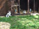 Thumbnail image of DSCF3636.JPG