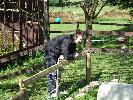 Thumbnail image of DSCF3638.JPG