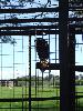 Thumbnail image of DSCF3643.JPG